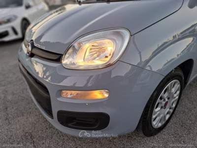 Fiat Panda Panda 1.0 FireFly S&S Hybrid Grigio usata RIMINI