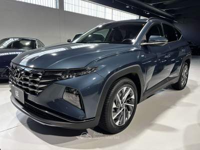 Hyundai Tucson 1.6 crdi 48V Xline 2wd dct Blu/Azzurro usata Luzzara