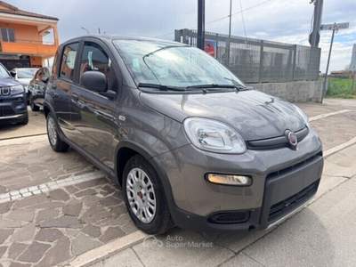 Fiat Panda FireFly S&S Hybrid Grigio usata Cellole
