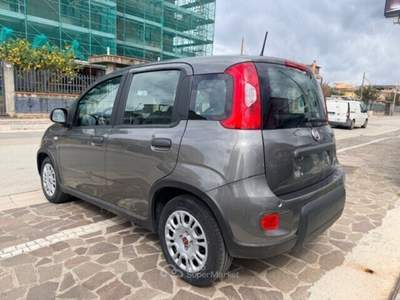 Fiat Panda FireFly S&S Hybrid Grigio usata Cellole