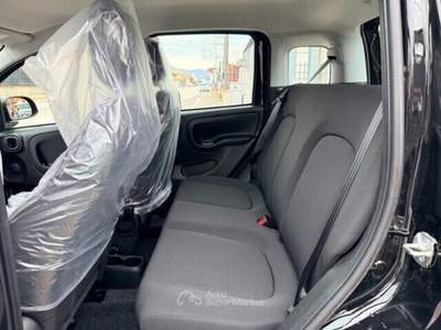 Fiat Panda FireFly S&S Hybrid Pandina Nero usata Cellole