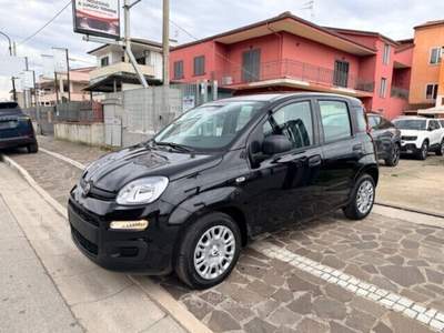 Fiat Panda FireFly S&S Hybrid Pandina Nero usata Cellole