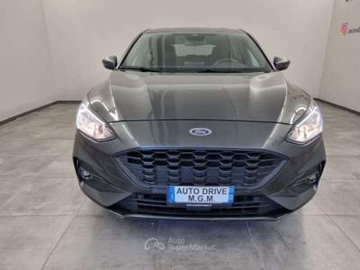 Ford Focus 1.0 EcoBoost 125 CV Start&Stop ST Line Grigio usata Erba