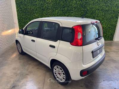 Fiat Panda Panda III 2021 1.0 firefly hybrid City Life s usata Terni