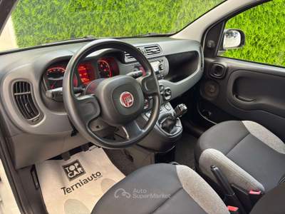 Fiat Panda Panda III 2021 1.0 firefly hybrid City Life s usata Terni