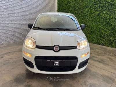 Fiat Panda Panda III 2021 1.0 firefly hybrid City Life s usata Terni