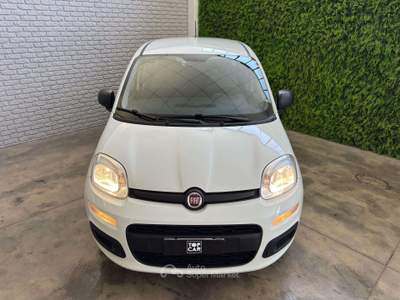 Fiat Panda Panda III 2021 1.0 firefly hybrid City Life s usata Terni
