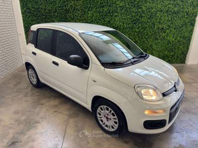 Fiat Panda Panda III 2021 1.0 firefly hybrid City Life s usata Terni
