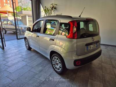 Fiat Panda Panda 1.2 Easy Argento usata Lecco
