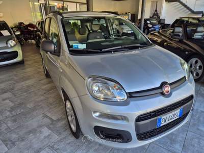 Fiat Panda Panda 1.2 Easy Argento usata Lecco