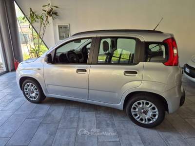 Fiat Panda Panda 1.2 Easy Argento usata Lecco