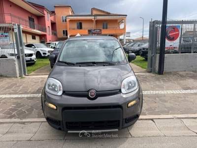 Fiat Panda FireFly S&S Hybrid Grigio usata Cellole