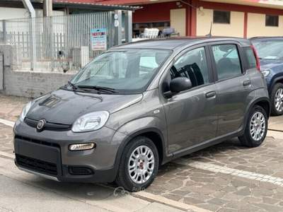 Fiat Panda FireFly S&S Hybrid Grigio usata Cellole