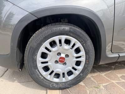 Fiat Panda FireFly S&S Hybrid Grigio usata Cellole