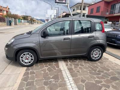 Fiat Panda FireFly S&S Hybrid Grigio usata Cellole