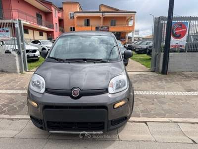 Fiat Panda FireFly S&S Hybrid Grigio usata Cellole