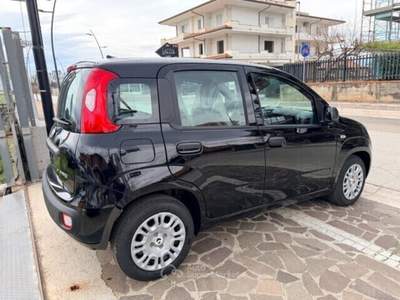 Fiat Panda FireFly S&S Hybrid Pandina Nero usata Cellole