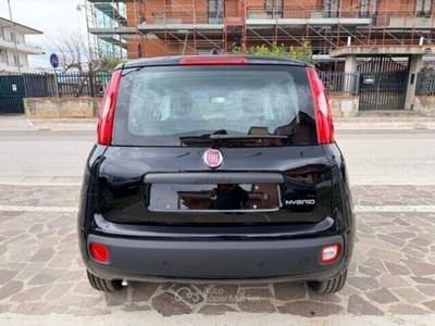Fiat Panda FireFly S&S Hybrid Pandina Nero usata Cellole