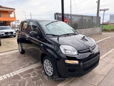 Fiat Panda FireFly S&S Hybrid Pandina Nero usata Cellole