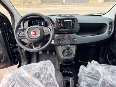 Fiat Panda FireFly S&S Hybrid Pandina Nero usata Cellole