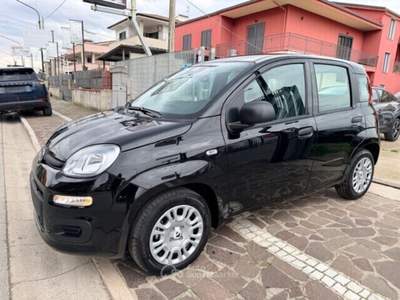 Fiat Panda FireFly S&S Hybrid Pandina Nero usata Cellole