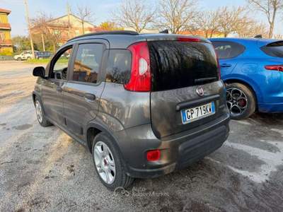 Fiat Panda 1.0  Hybrid Grigio usata Senigallia