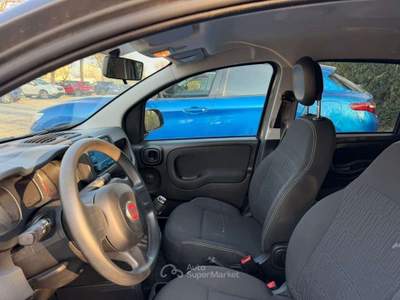 Fiat Panda 1.0  Hybrid Grigio usata Senigallia