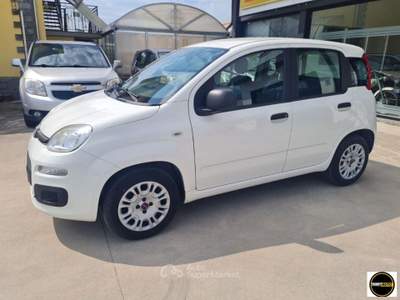 Fiat Panda Benzina/GPL-26.000 Km-Anno 2020 Bianco usata Casatisma