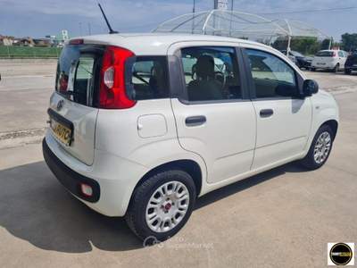 Fiat Panda Benzina/GPL-26.000 Km-Anno 2020 Bianco usata Casatisma