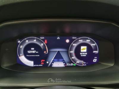 Cupra Leon 2.0 TDI 150 CV DSG Nero usata Erba