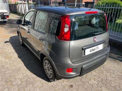 Fiat Panda 1.0 FireFly S&S Hybrid Grigio usata Caronno Pertusella