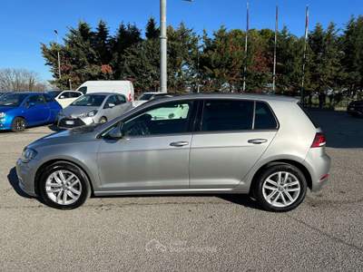 Volkswagen Golf Volkswagen Golf VII 1.6 TDI Business BlueMotion Grigio usata Rimini