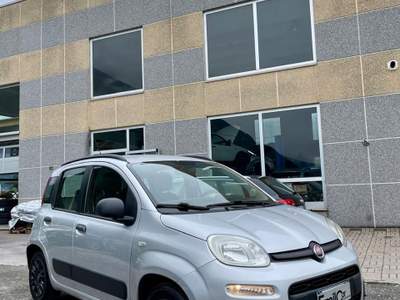 Fiat Panda versione POP - neopatentati Argento usata Ardenno