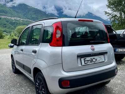 Fiat Panda versione POP - neopatentati Argento usata Ardenno