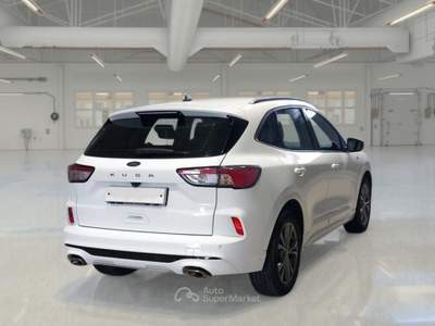 Ford Kuga FORD KUGA 1.5 ECOBLUE 120 CV 2WD ST-LINE AUTO SUV usata Bari