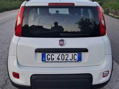 Fiat Panda EasyPower GPL Bianco usata Cassano delle Murge