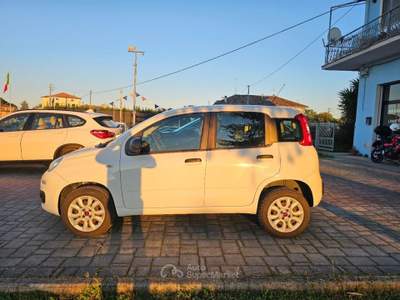 Fiat Panda 0.9 TwinAir Turbo Natural Power Easy Bianco usata Civitanova Marche