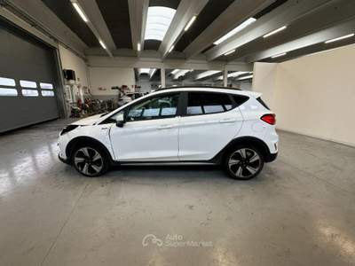 Ford Fiesta 1.0 ECOBOOST HYBRID 125CV 5 PORTE ACTIVE Bianco usata Megliadino San Vitale