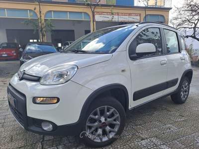 Fiat Panda OTTIMO STATO GENERALE Bianco usata Buccino