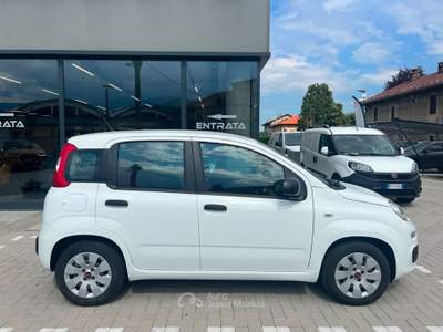 Fiat Panda 1.2 Easy 69cv Bianco usata Pinerolo