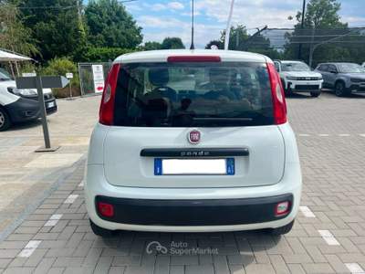 Fiat Panda 1.2 Easy 69cv Bianco usata Pinerolo