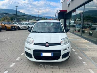 Fiat Panda 1.2 Easy 69cv Bianco usata Pinerolo