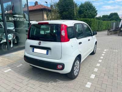 Fiat Panda 1.2 Easy 69cv Bianco usata Pinerolo
