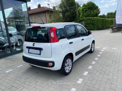 Fiat Panda 1.3 mjt 16v Easy s&amp;s 95cv Bianco usata Pinerolo