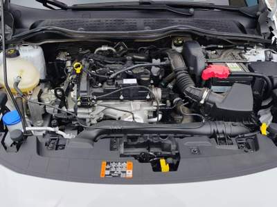 Ford Fiesta Fiesta 5p 1.1 Plus 75cv Oro usata Viadana