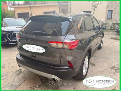 Ford Kuga 1.5 EcoBlue 120 CV 2WD Titanium Business Grigio usata Rende