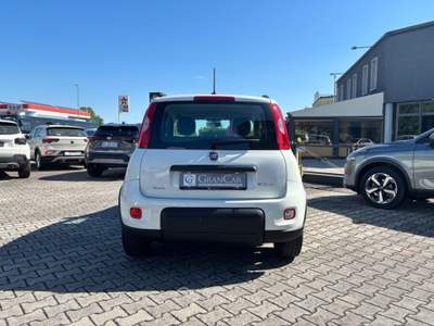 Fiat Panda 1.0 FireFly S&S Hybrid City Life Bianco usata Zero Branco