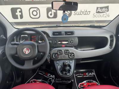 Fiat Panda Benzina 69 cv Easy Rosso usata Giugliano in Campania