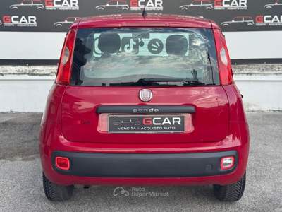 Fiat Panda Benzina 69 cv Easy Rosso usata Giugliano in Campania