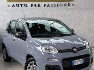 Fiat Panda 5 posti Euro 6 Neopatentati usata Sedriano